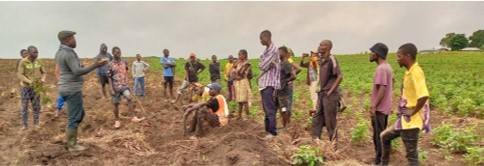 Agriculture Image